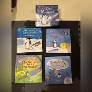 Usborne books: “How” series
